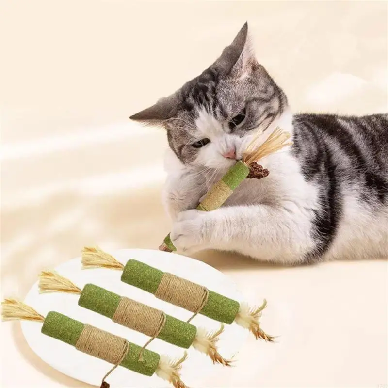 97QD التسنين Catmint Cats Toy Toy Teath Clean لعق Teaser Toy Cats Toy Catmint Toy