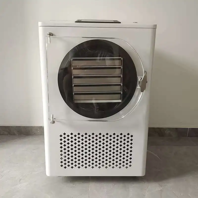 Fully Automatic Fruit And Vegetable Freeze Dryer Machine For Food Home Use Freeze Dryer For Sale