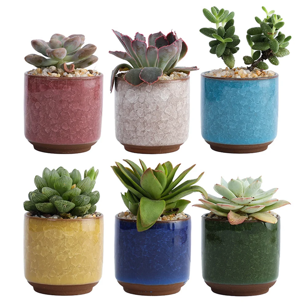 6pcs Ceramic Succulent Planter Pots Coloured Ceramic Flower Pot for Home Office Decor (Dark Blue, Red, White, Yellow, Green, Lig