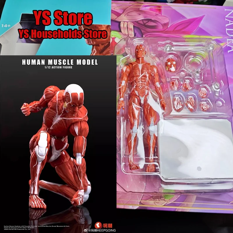 

1/12 Human Muscle Model Action Figure Super Flexible Orange Gray Body Toys Accessory For 6" PLAY TIME TOYS Figurine Decoration