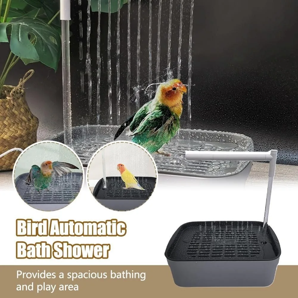 Thumbnail 2 - #29 Bird Baths Discount Picks