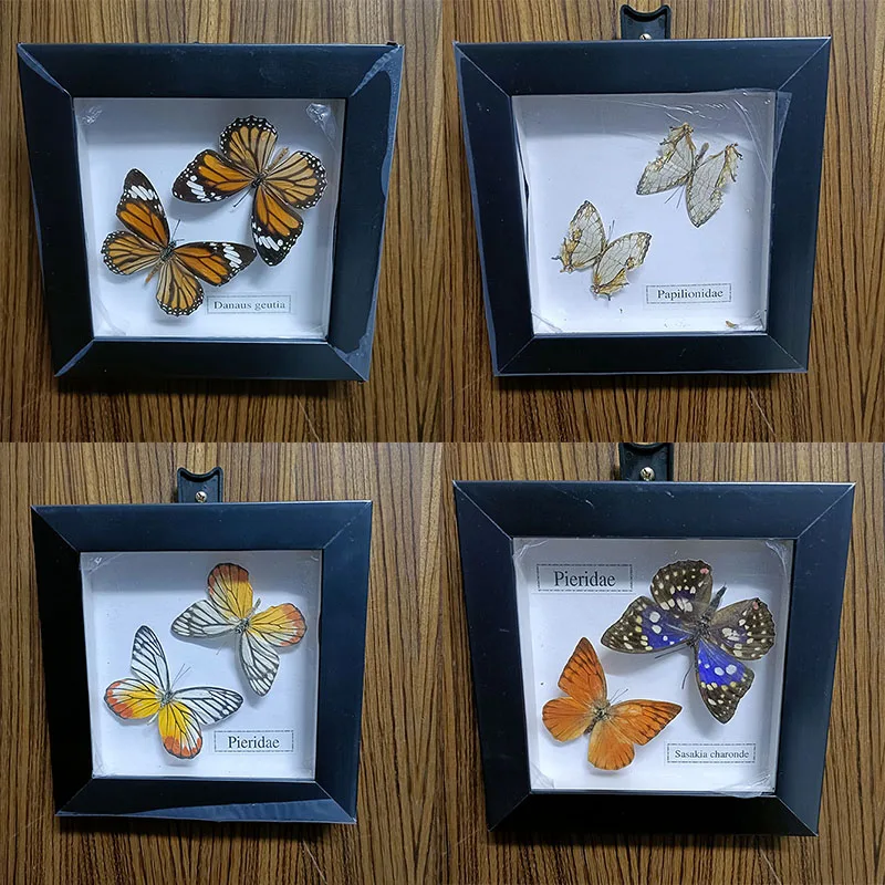 

Real Butterfly Specimens Fixed In Frames for Home Decor Birthday Holiday Party Living Room Ornaments Decoration Crafts