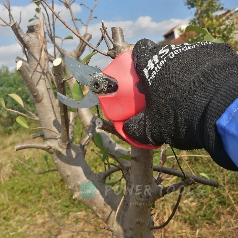 Manufacturer Supply F21 Lithium Rechargeable Cordless Electric Pruning Shear For Vineyard