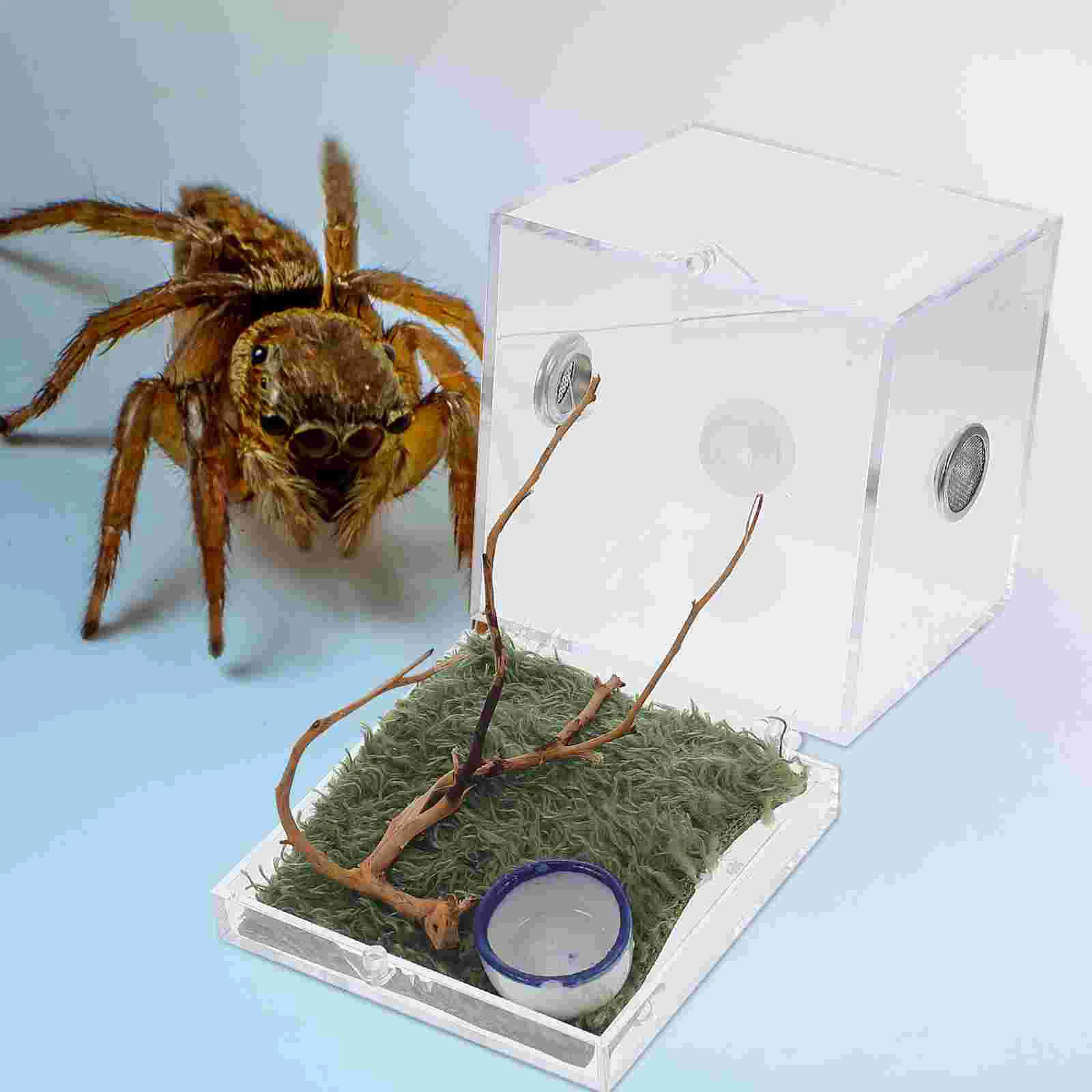 Caja de cultivo de reptiles acrílicos, Terrario de araña, carcasa de araña de salto, gotero, pinzas, Tarantula, escorpión, 2 juegos