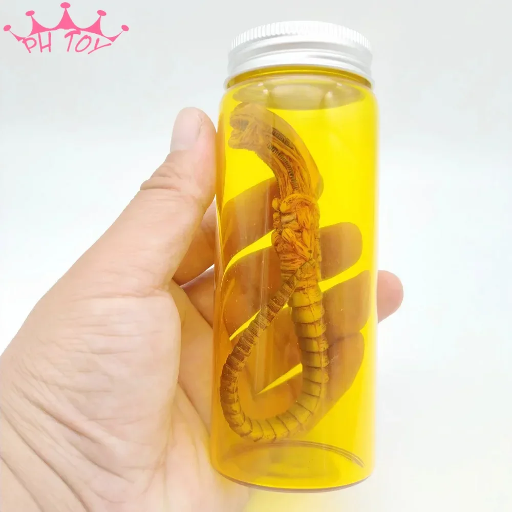 

Collect 1/6 Alien Chestburster Facehugger Model Iron Blood Warrior Special-shaped Contract Scene Props for Hobby Fire Girl Toys