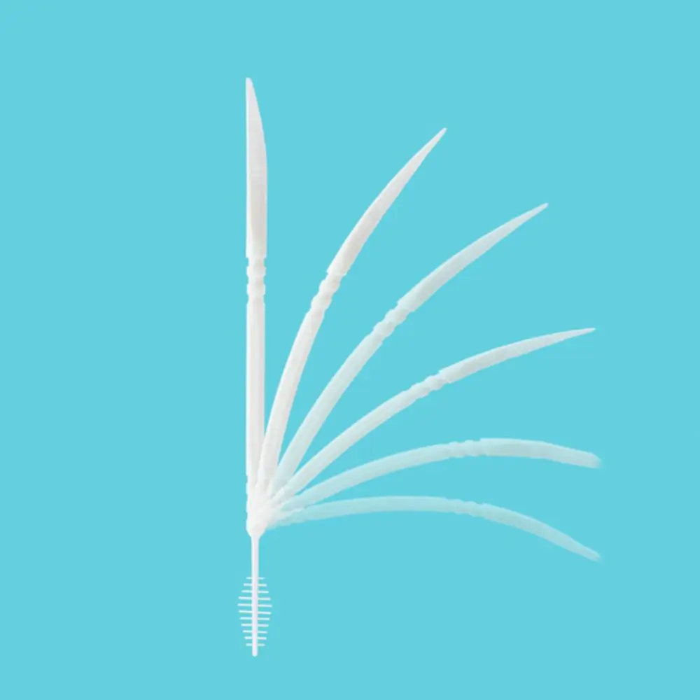 300/60 Pcs Disposable Double-ended Toothpick Portable Gum Care Fish Bone Shaped Interdental Brush Oral Cleaning Plastic