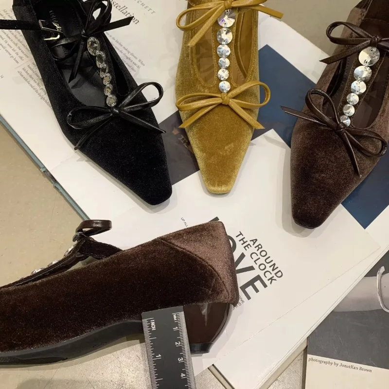 

French Beautiful Mary Jane Shoes Women's 2026 Spring New Pointed Toe Shallow Mouth Block Heel Single Shoes