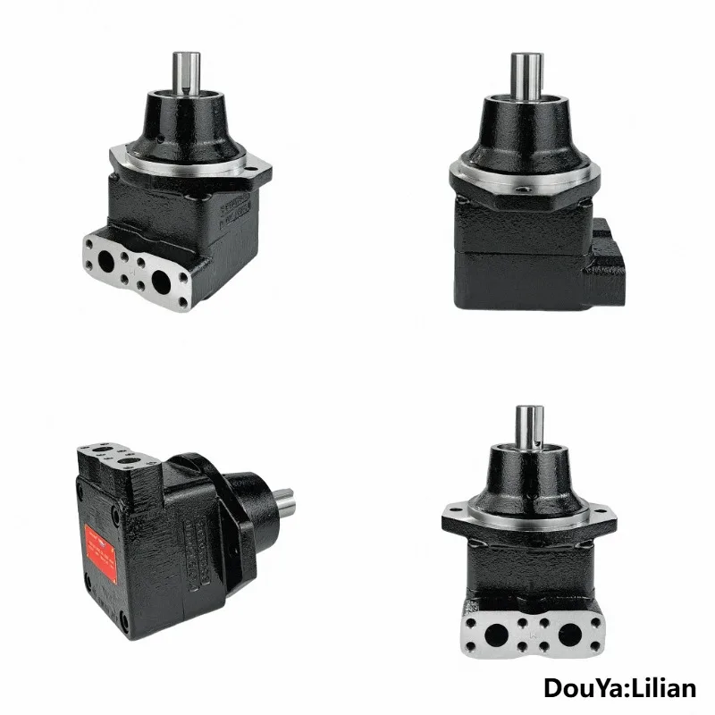 Hydraulic Winch Motor M5BF-012/018/023/028/036/045-WR04-B1Y-0RP28 Can Replace PARKER Vane Motor High Pressure and High Speed