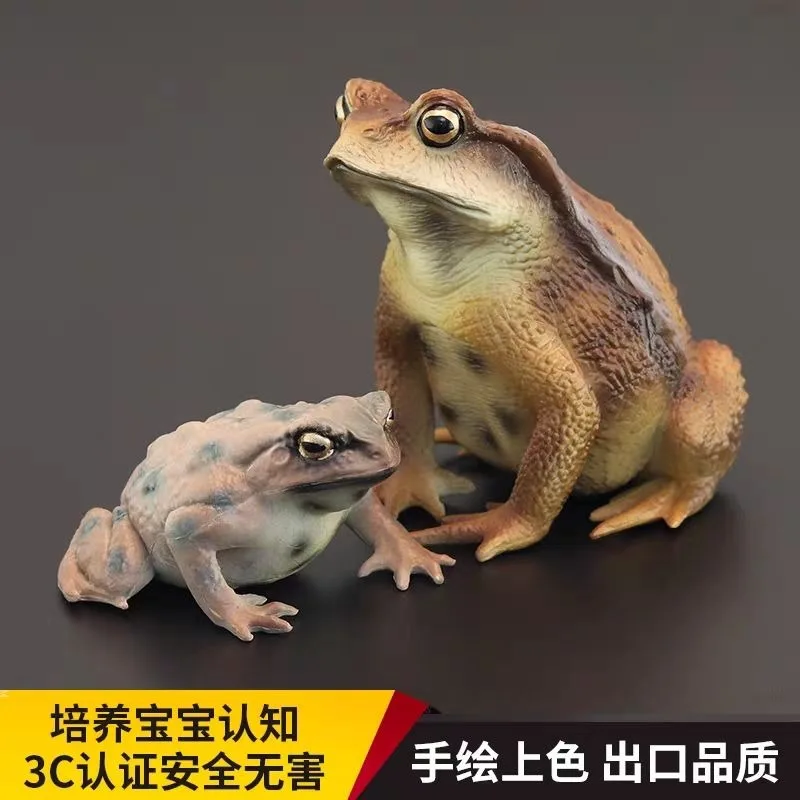 Solid kidsartificial reptile model toad toad tea pet cognitive gift tea table ornaments