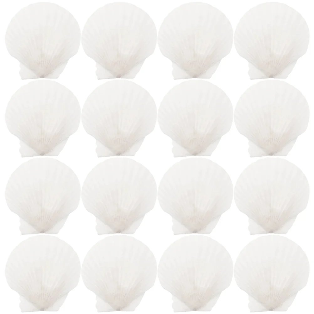 

16 Pcs DIY Shells White Scallop Small Conch Handmade Creative Coloring Painting Barbecue Fish Tank Hermit Crab Decor