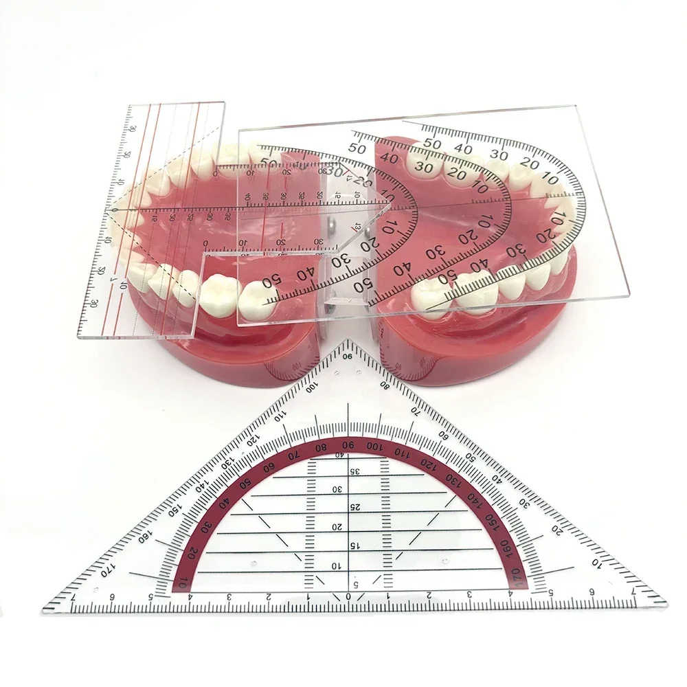 

Dental Lab Denture Drawing and Alignment Dental Ruler T-Shape Examination Orthodontic Symmetry Measurements Multifunctional