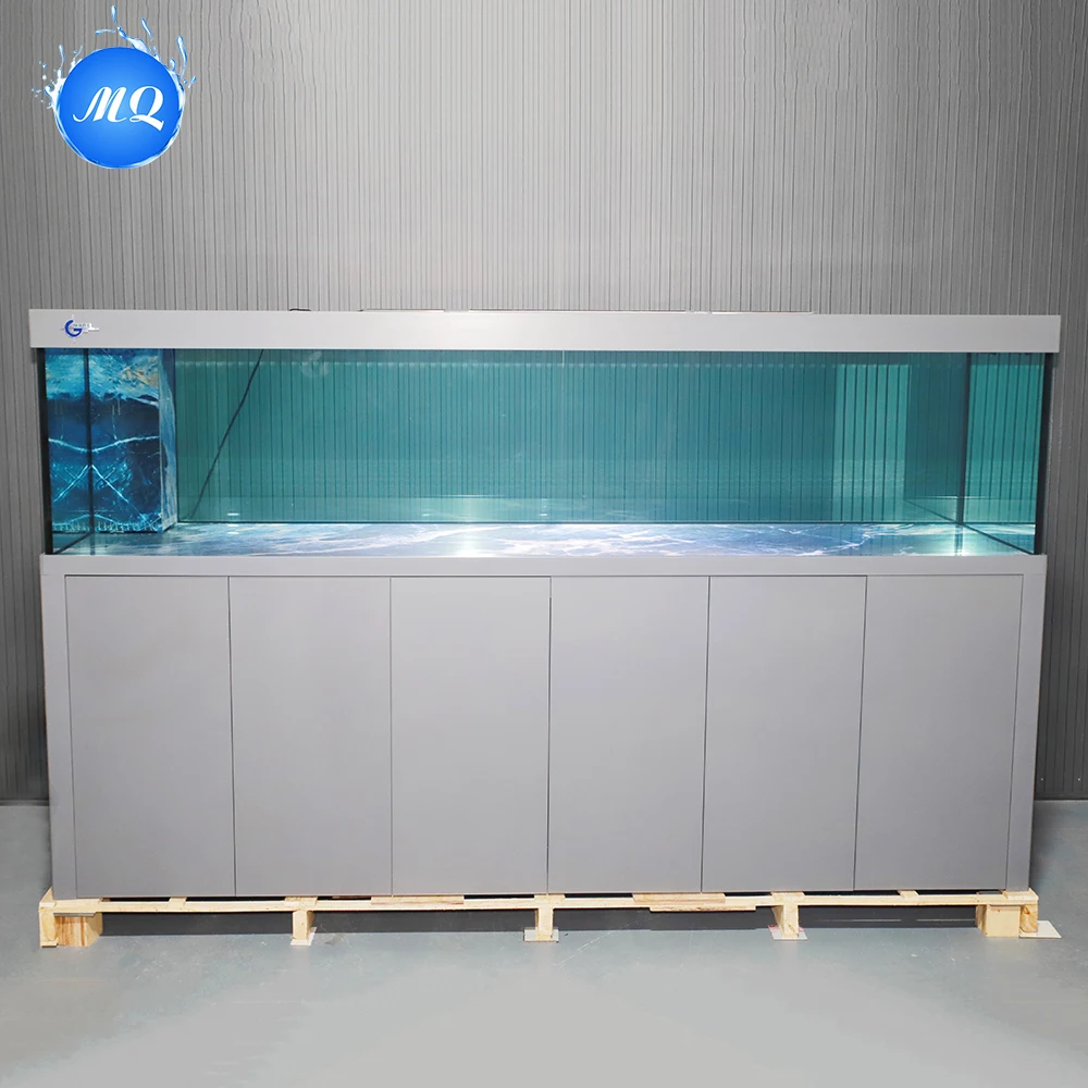 Wholesale Silent Large Glass F - огляд і ціна Aquarium Fish Big Size