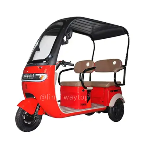 800W Motor Leisure Electric Tricycle for Adults 48v 3-Wheel Steel Frame City Electric Bicycle with Multiple Users