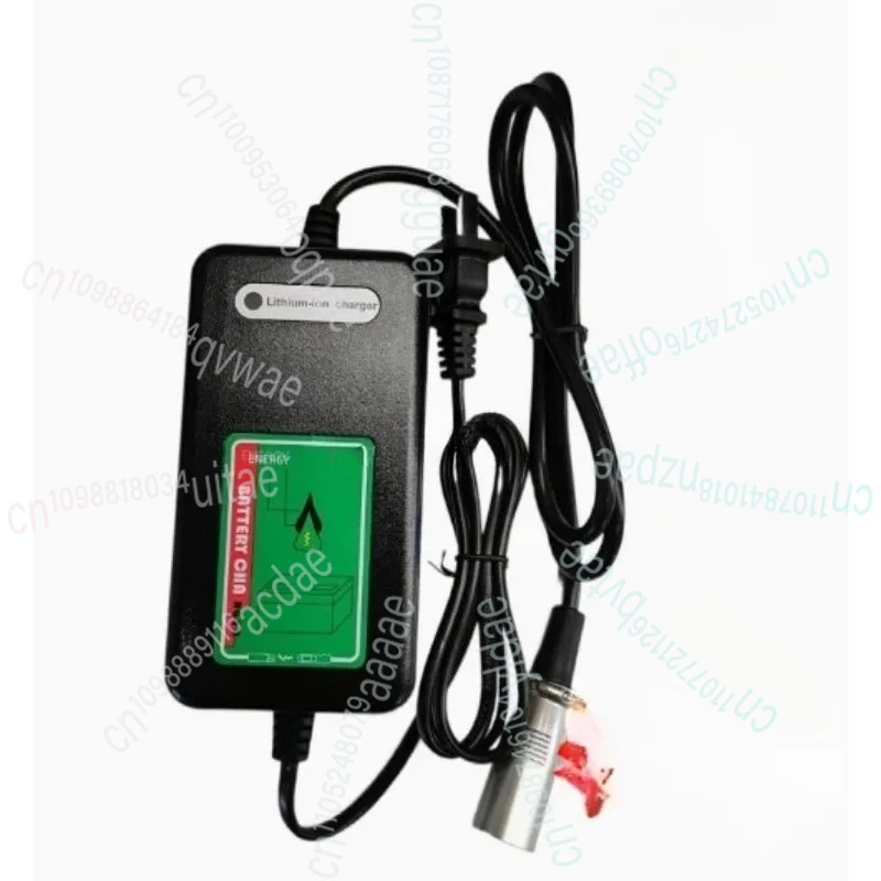 5513/5519 شاحن كرسي متحرك كهربائي HPC1203-L2 شاحن بطارية ليثيوم 2