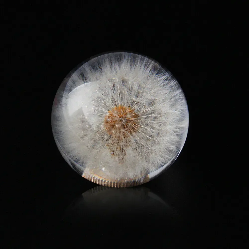 Universal 70MM/54MM Racing Crystal Ball Dandelion Real Flowers Gear Shift Knob Head Transparent DIY
