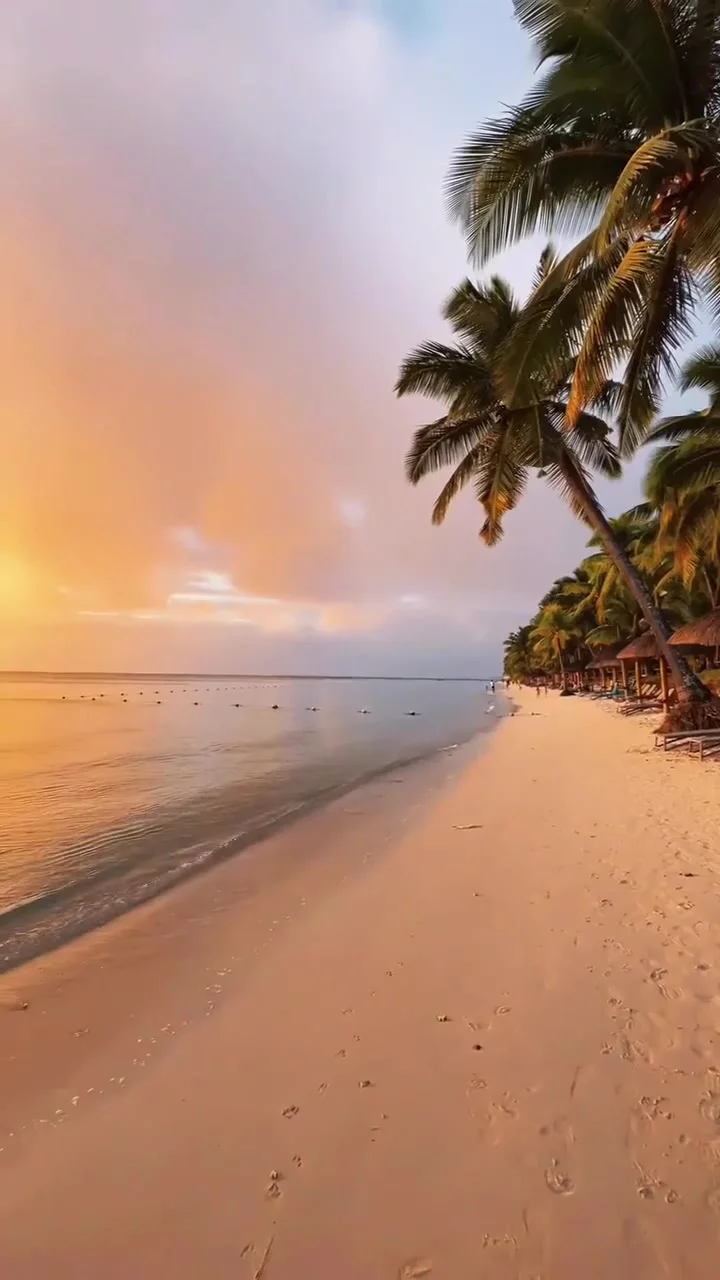 

Для Audi Q5 2010-2017 автомобильные аксессуары марганцевая сталь под защитным приспособлением двигателя капоты двигателя Лидер продаж