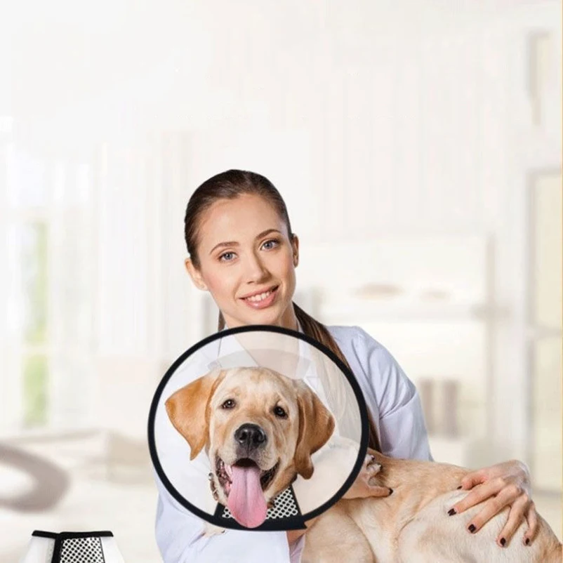 Prevent BiteTransparent Dog Cat Protection Cover Wound Healing Bath Grooming Cone Protective Pet Dog Medical Collar
