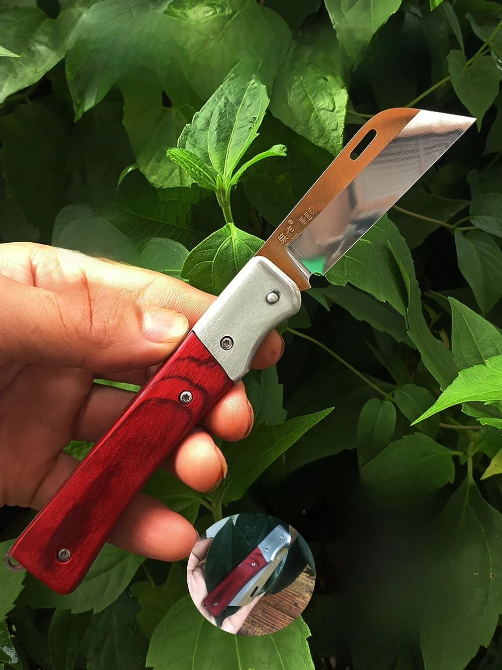 cuchillo-de-injerto-de-alta-velocidad-para-arboles-frutales-herramienta-de-jardin-afilada-y-facil-de-usar-cuchillo-especial