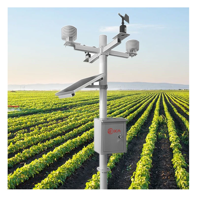 RIKA RK900-01 Customized Agricultire Outdoor Compact Automatic Weather Monitoring Station RS485 RS232 Wifi Wireless for Sale