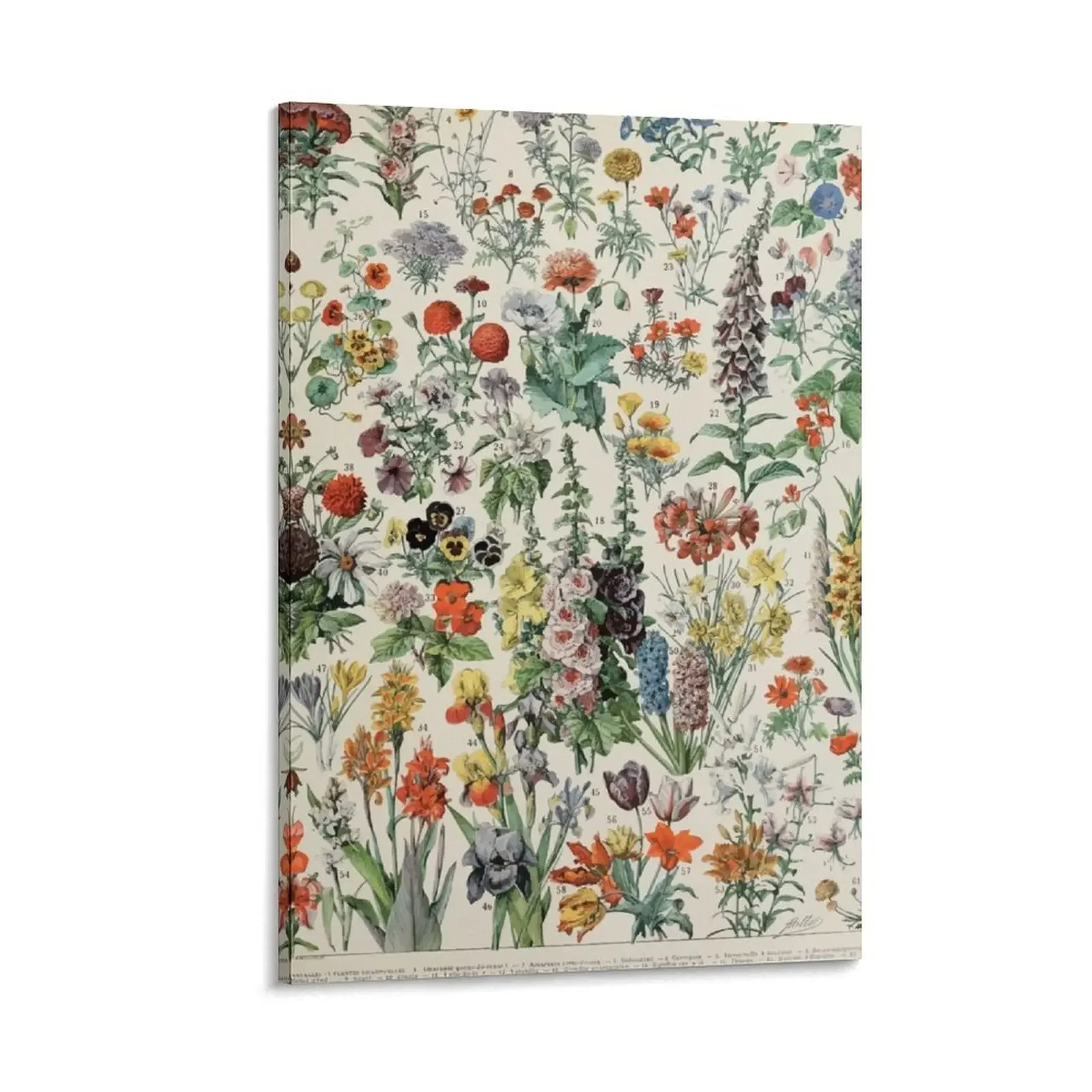 

Adolphe Millot fleurs A Canvas Painting Bedroom deco home decoration accessories Wall paintings Decoration for bedroom