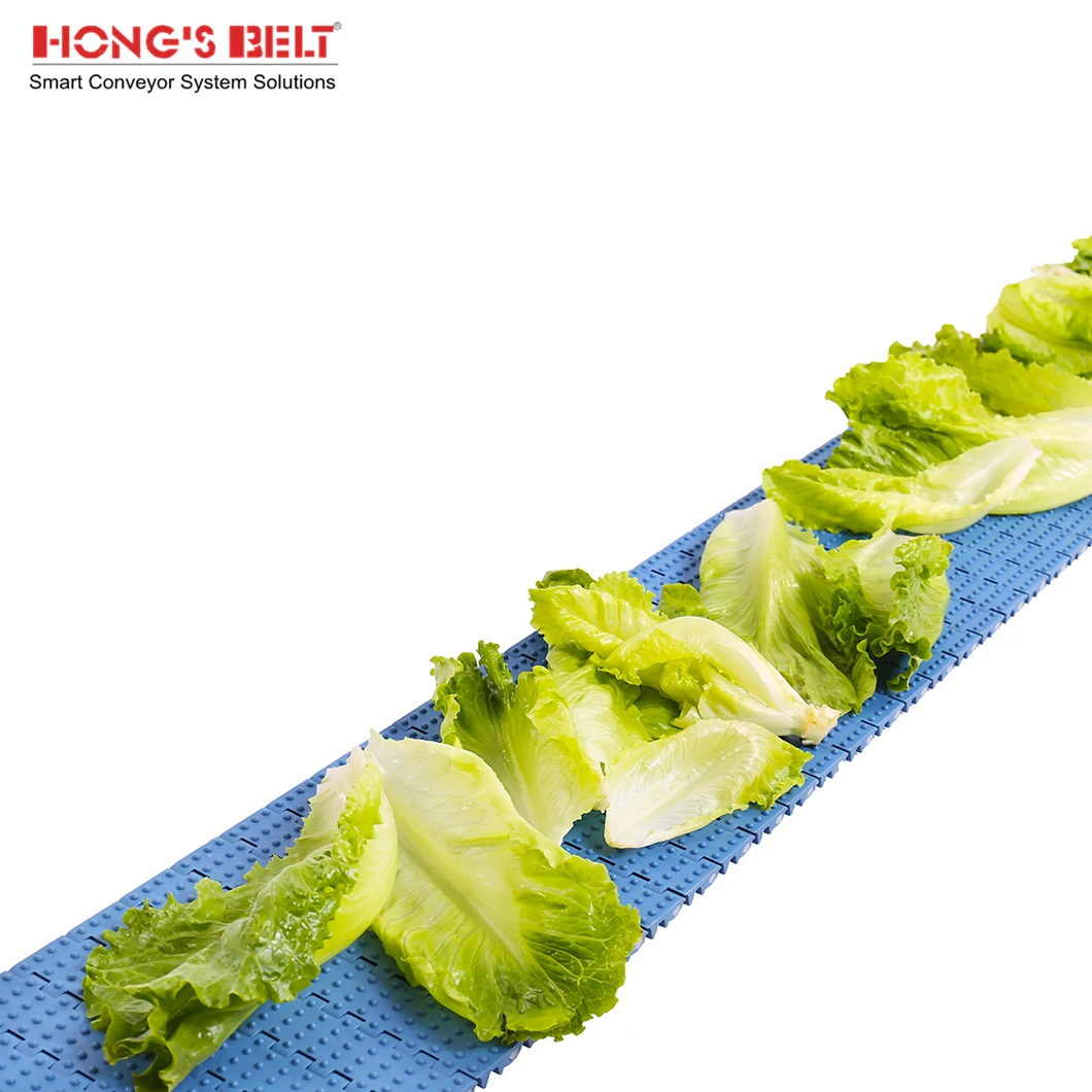 Hongsbelt HS-200AN Modular Conveyor Belts for Fruit and Vegetable Washing Applications
