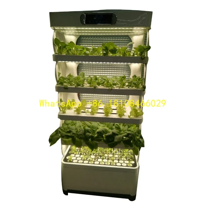 

growing leafy vegetables intelligent vegetable plant planter Cabinet hydroponic home used
