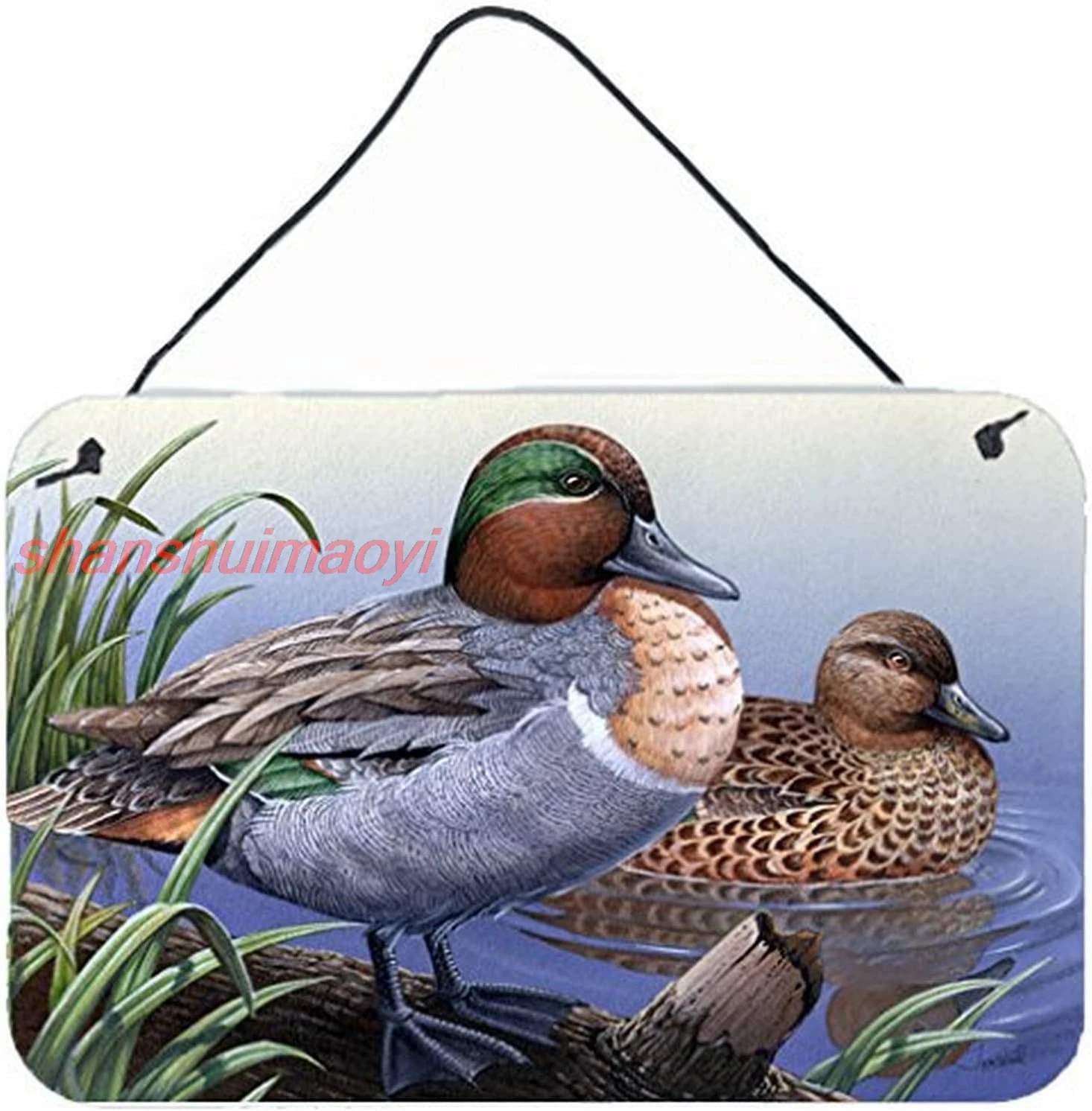 Caroline's Treasures PTW2057DS812 Green Teal Ducks in The Water Wall or Door Hanging Prints Aluminum Metal Sign Kitchen 7855