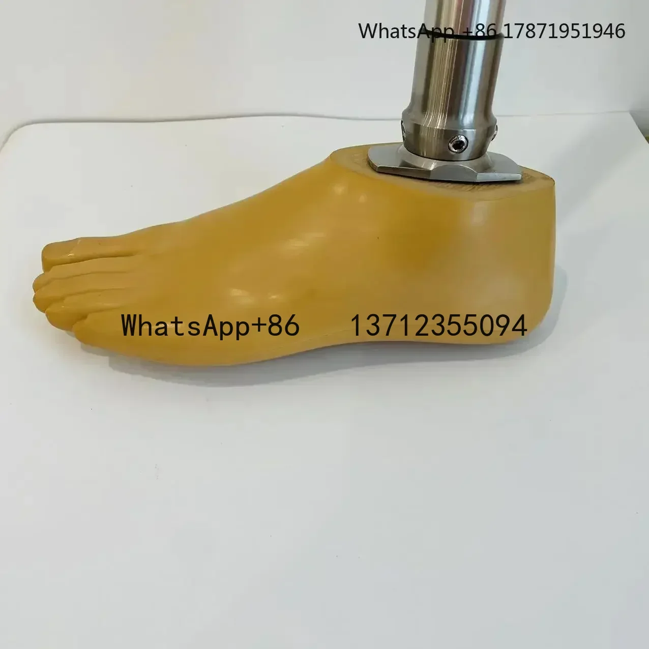 Top Ranking Artificial Limbs Leg orthopedic Implant Below Knee Prosthetic Leg