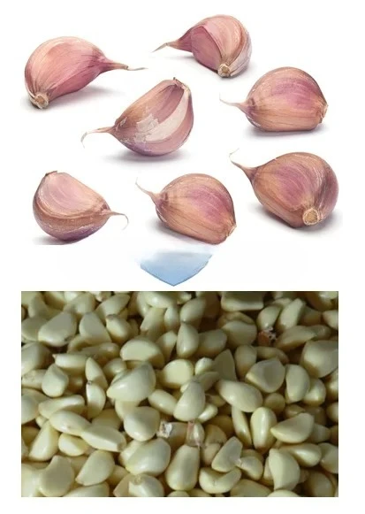 Venta caliente barata y al mejor precio Máquina peladora de ajos/abridor de ajos