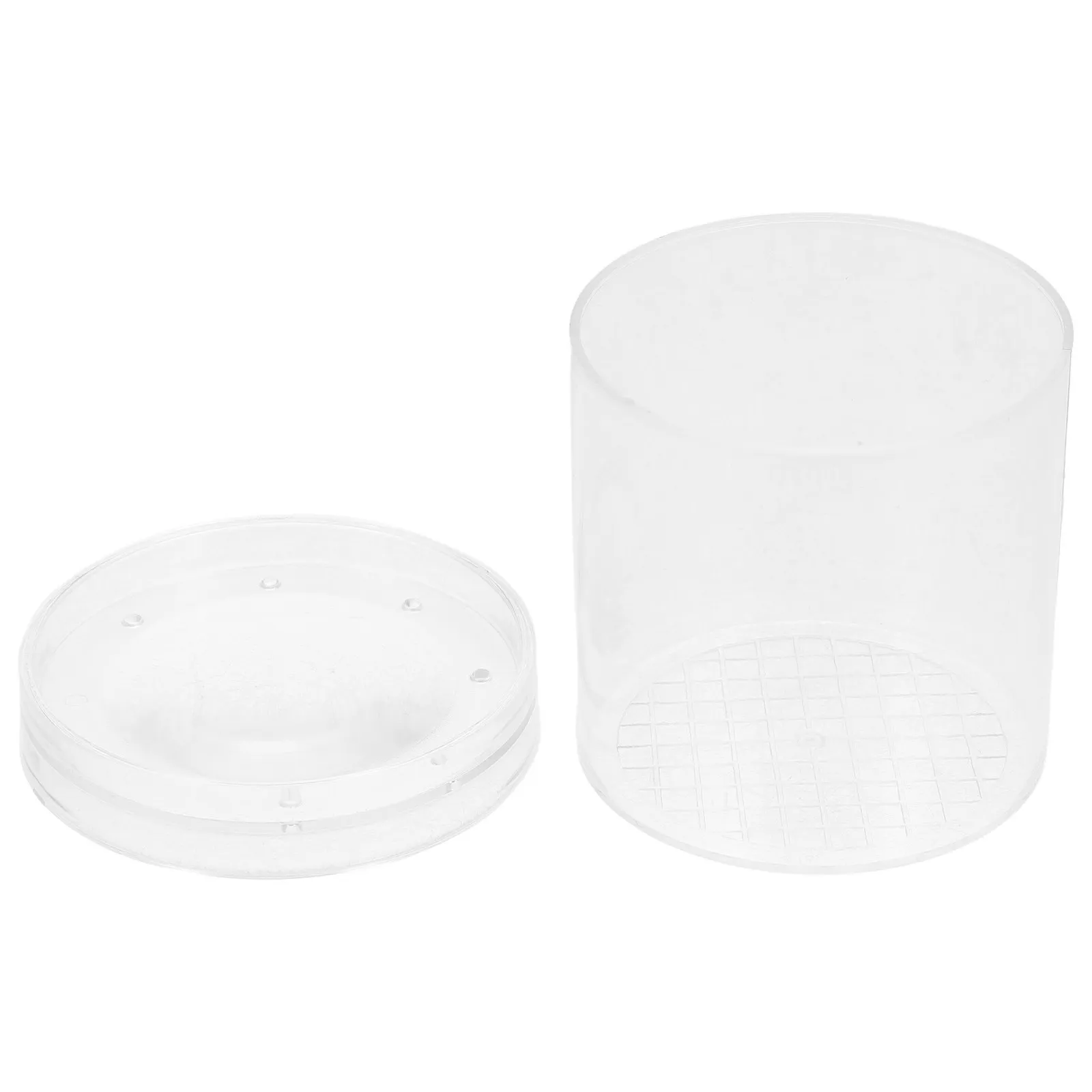 Insect Observation Box 3X Magnifying Lens Educational Science Tool for Kids Nature Exploration Backyard Bug Viewing Transparent