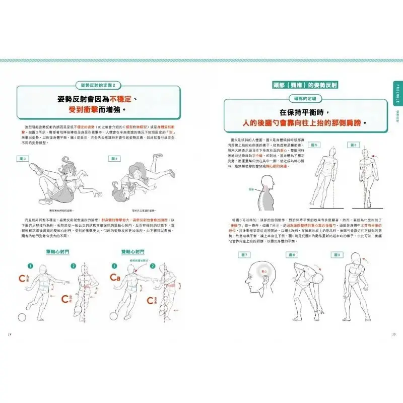 Character Posture Painting Theorem Artist Rokuro Shinofusa's Private Art Book Explaining Drawing Techniques With Examples Manga