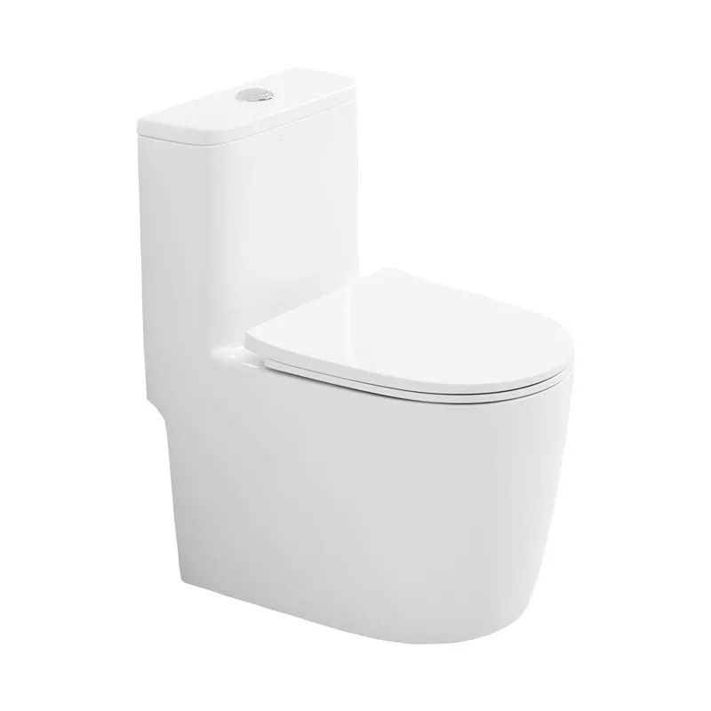 

Small apartment, silent toilet, large pipe.