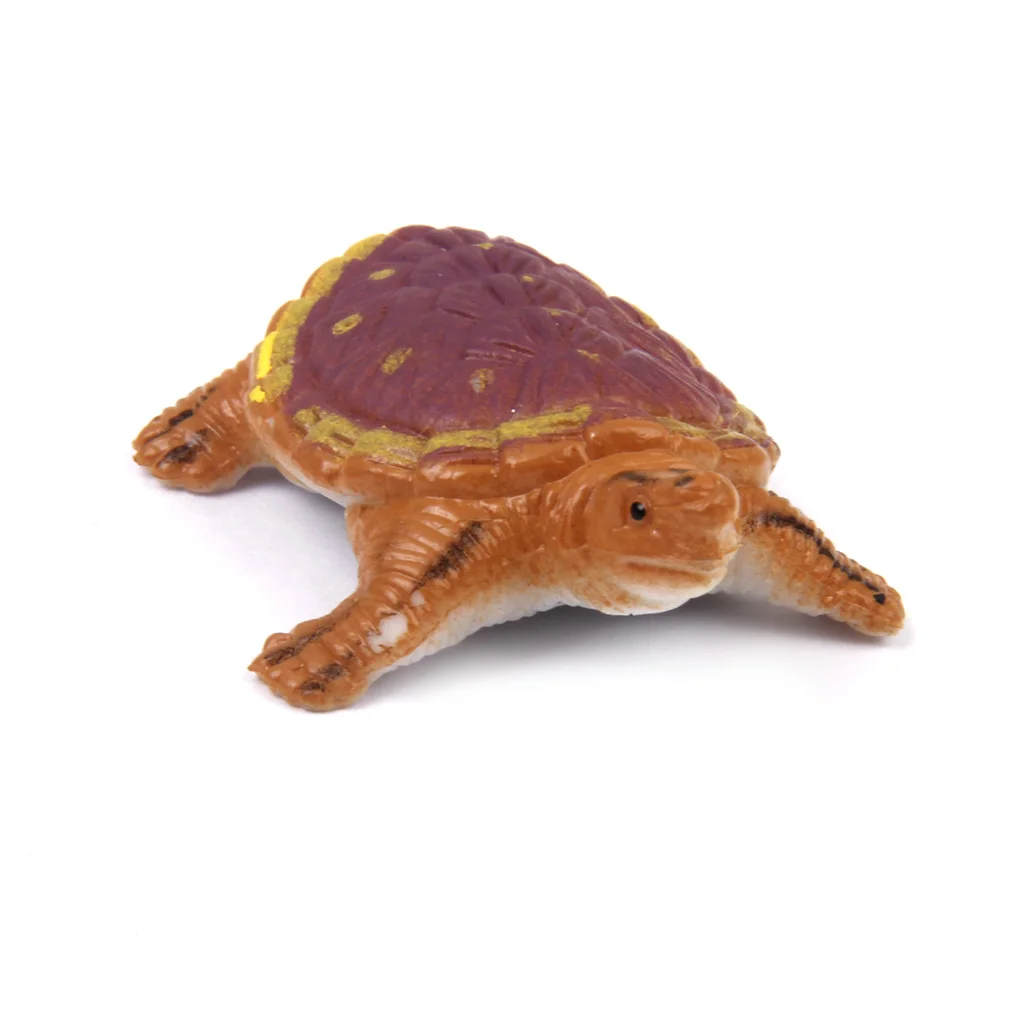 Set of 8 Pieces Various Plastic Turtle model Tortoise Animal Display Figures Toy Collection