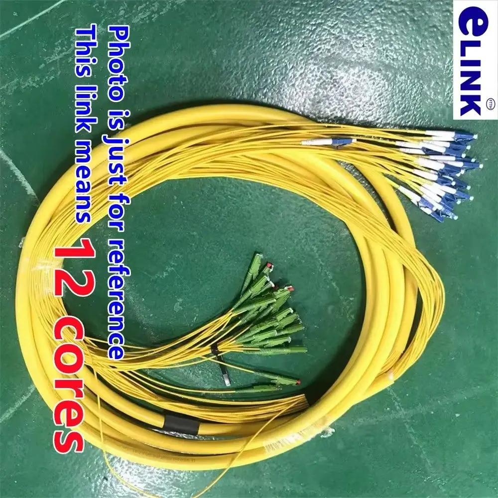 

optical patchcord 10-100m 12 cores E2000/APC to SC/FC/LC/ST 12C bundle SM 12 fibers 50m60m E2000 indoor branch jumper customized