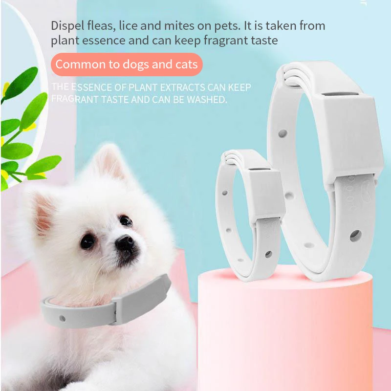 Anti Flea Tick Collar For Cat Small Dog Antiparasitic 8Month Protection Adjustable Puppy Kitten Collar Breakaway Pet Accessories