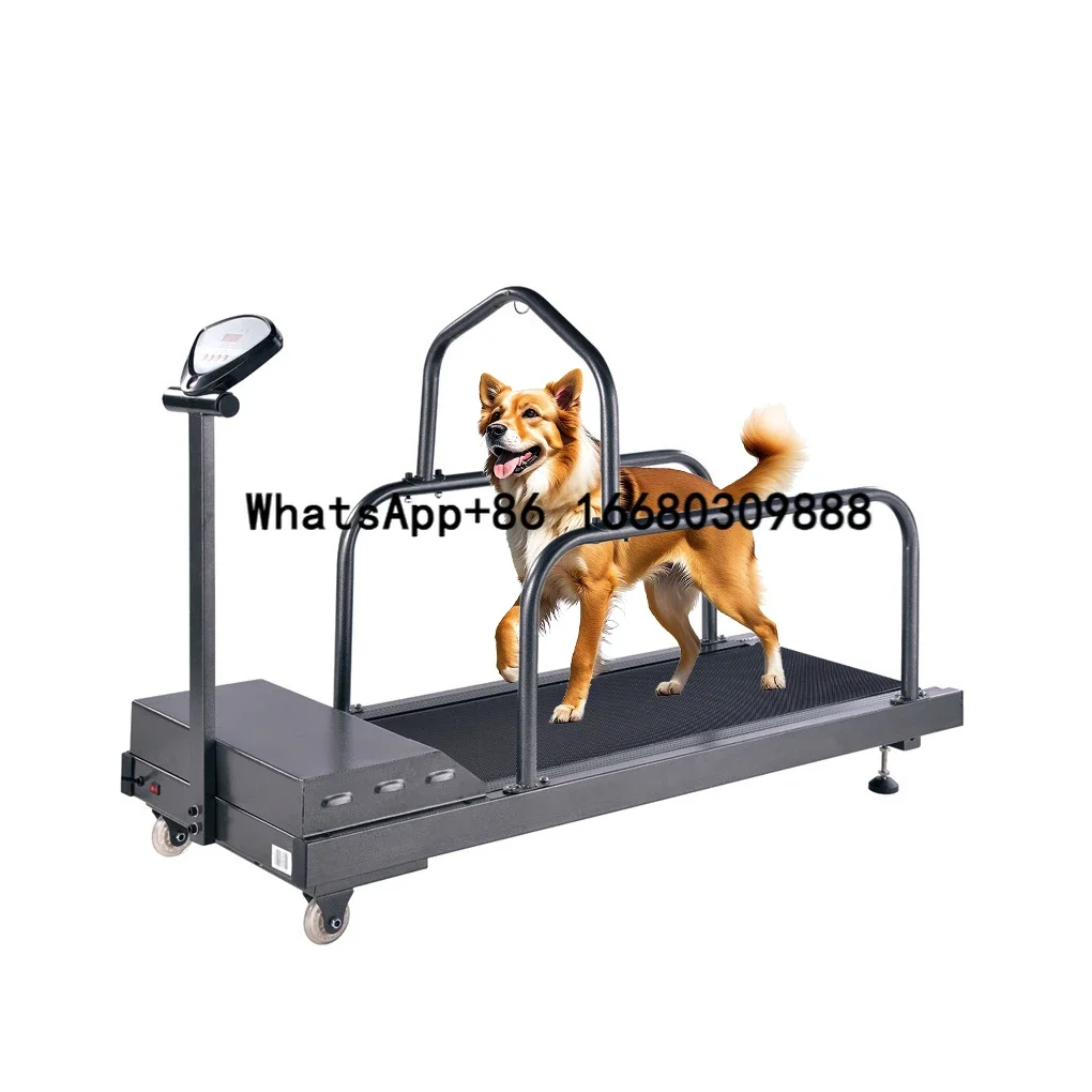 

Hot Sale Pet Electric Treadmill For Dog Sport Training Equipment Home Animal Walking Running Machine