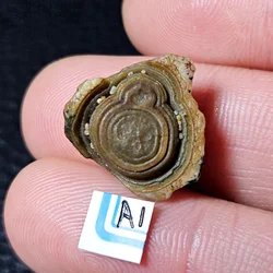 Rare Natural Ghostface Stone Mineral Specimen Mini Energy Chakra Stone Reiki Healing Witchcraft Offering