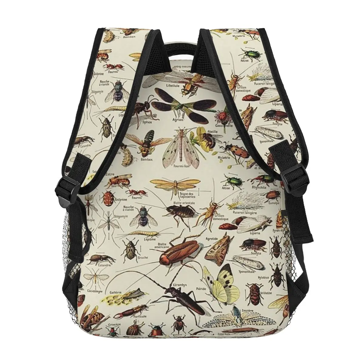 Insects Chart. Scientific Illustration, Text In French Backpacks Boys Girls Bookbag Children Bags Laptop Rucksack Shoulder Bag