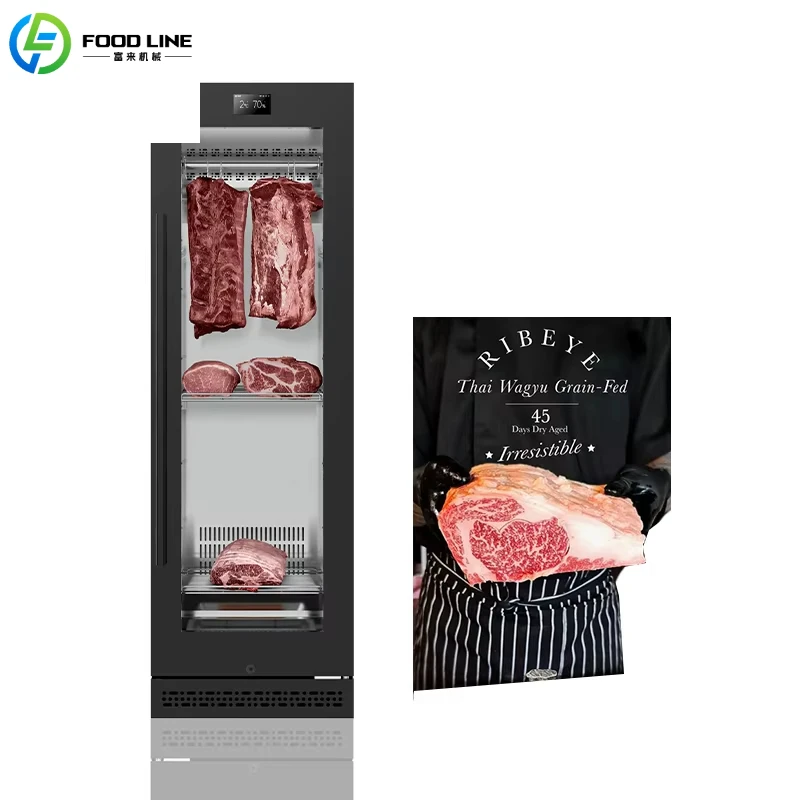 Customize New AI One-click Maturation Dri Dry Ager Fridge Display Deep Freezer Aged Aging Refrigerator Kichen Equipment Cabinet