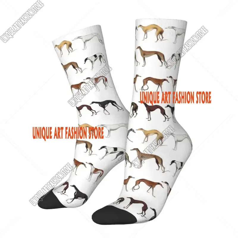 Cute Whippet Sighthound Dog Men's Crew Socks Unisex Fun 3D Printed Greyhound Hound Male Dress Sock