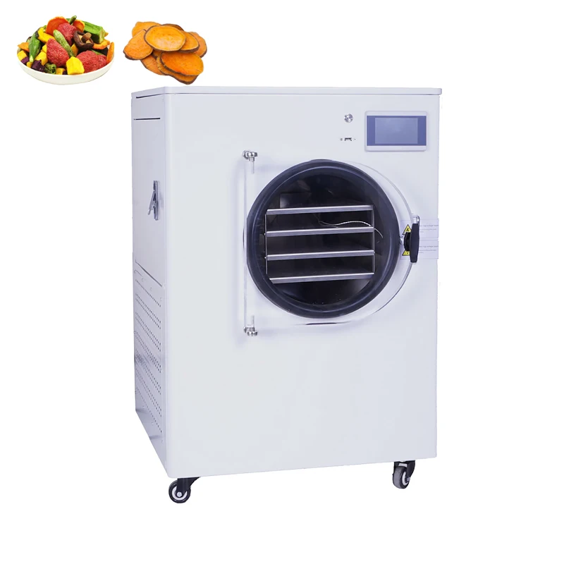 Lab Mini Household / Home 1kg 2kg 6kg Vacuum Freeze Dryer for Sale