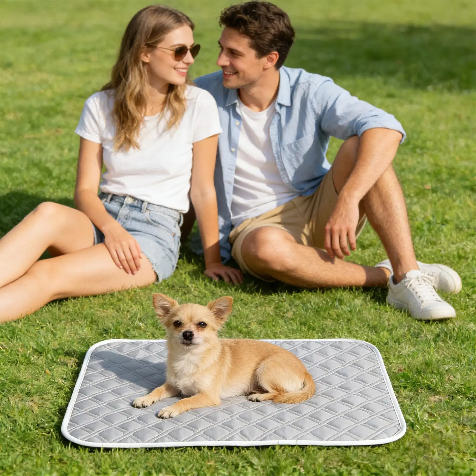 Cooling Pad For Dog Sweat Absorbent Sleeping Rug 45x35cm Soft Self Cooling Pet Mat Cat Durable Blanket Sofa Cat Ice Pad Blanket view 4