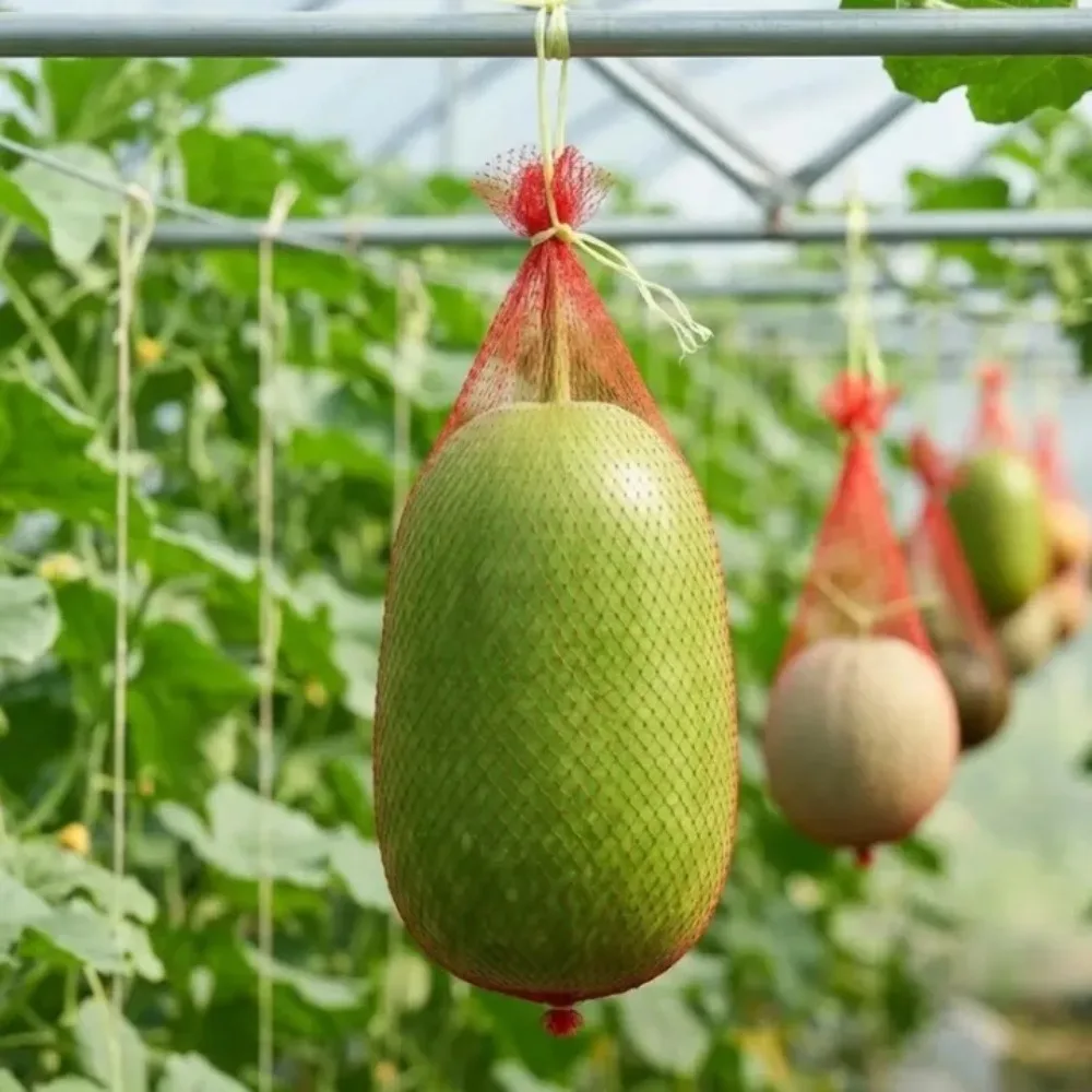100Pc Reusable Winter Melon Pumpkin Plastic Hanging Net Garden Fruit Vegetable Pouch Durable for Greenhouse Planting Accessories