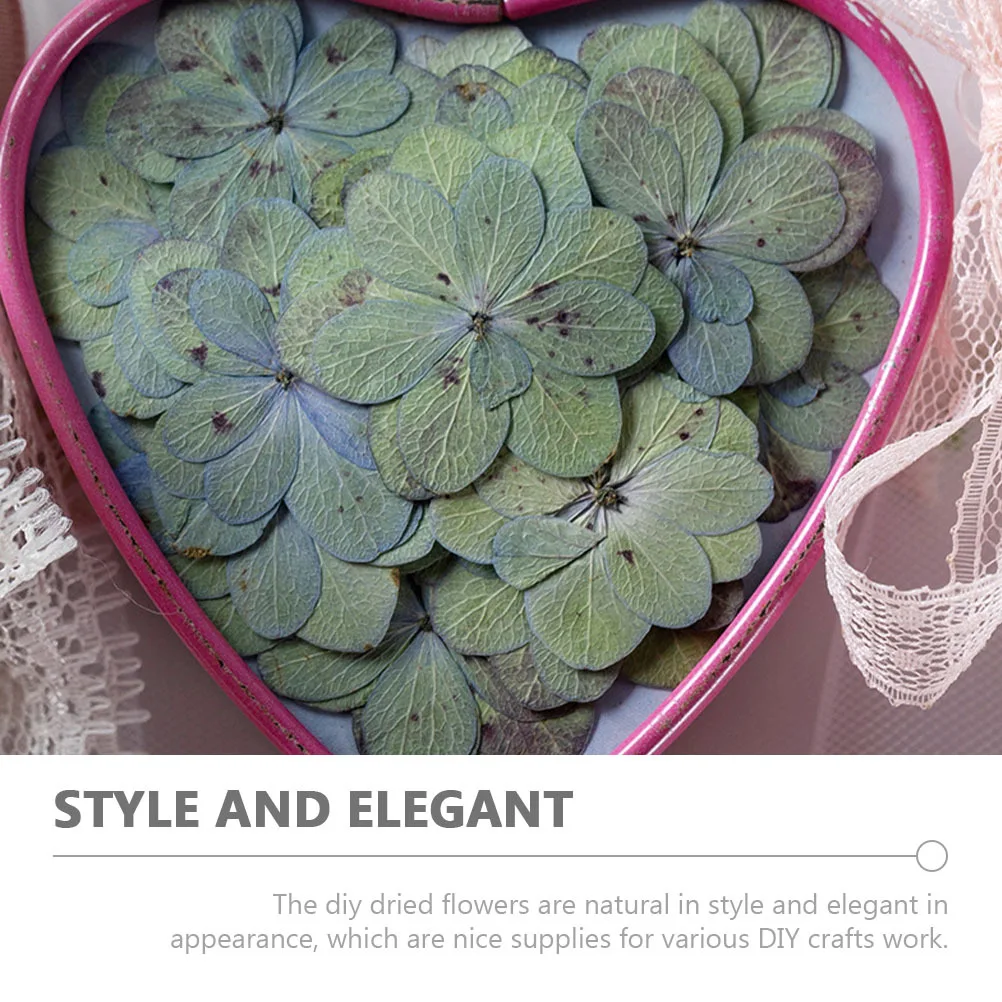 

30pcs Dried Pressed Flowers Embossing Diy Craft Material For Resin Making Natural Multicolored Floral Decorations Bulk