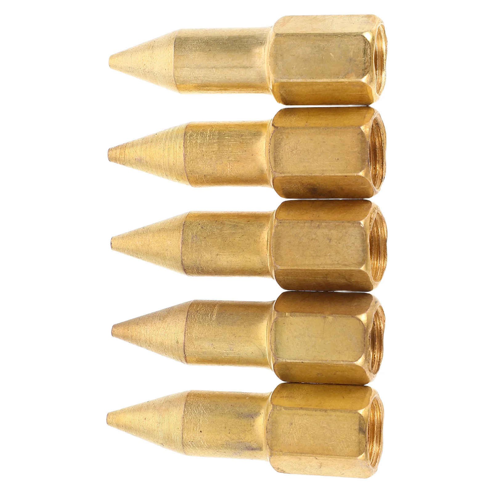 Punte per ugelli per grasso in rame da 5 pezzi Sostituzione metallica durevole estesa per aree difficili da raggiungere Facile da usare Pratico spruzzatore di grasso