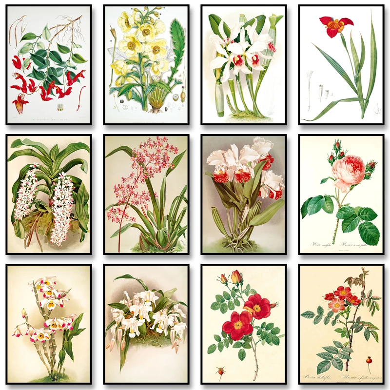 Vintage Flower Posters Plant Orchid Prints Dendrobium Orchid Rose Gallica Canvas Painting Wall Art Picture for Home Decoration
