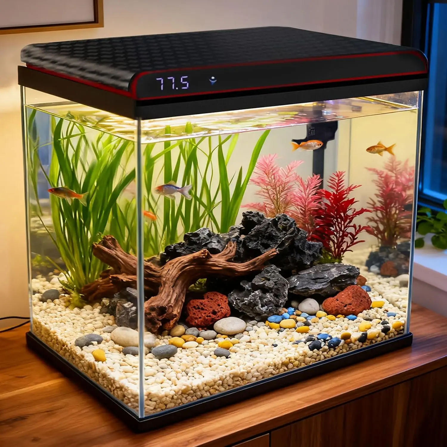 10 Gallon Glass Fish Tank, Aquarium Starter Kit, Simple Self-Cleaning Aquarium with 3-Color LED Lights, Quiet Filter Pump