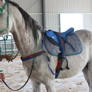 Complete saddle, teaching, training equipment, equestrian harness, Spillen, race saddle 10 Main Sales Horse Seal - №9