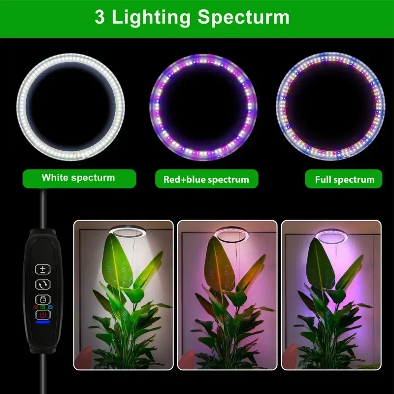 屋内植物用LEDグローライト,花の成長ランプ,赤と青,タイマー付きの調光可能な照明,6000k,3 h,9 h,12時間