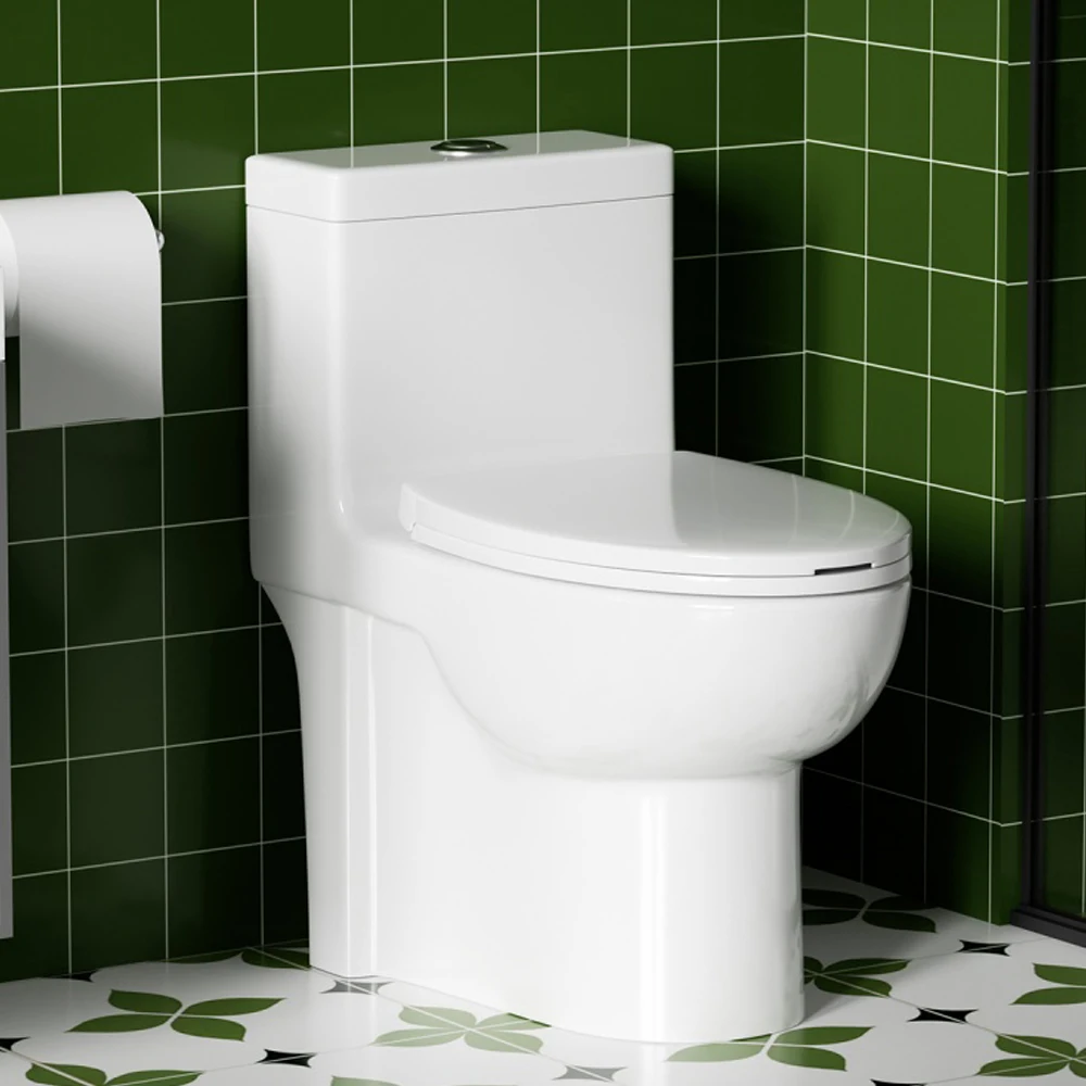 

Dual-Flush One-Piece Toilet with Soft Close Seat 1.1/1.6 GPF Comfort Height Water-Saving Elongated Toilet 1000g MaP Flush Bowl